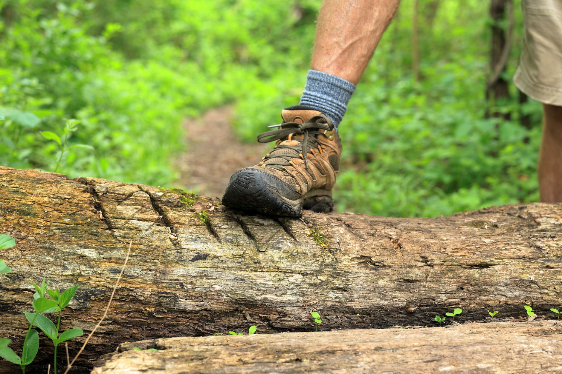 Wandelschoenen kiezen, inlopen en onderhouden